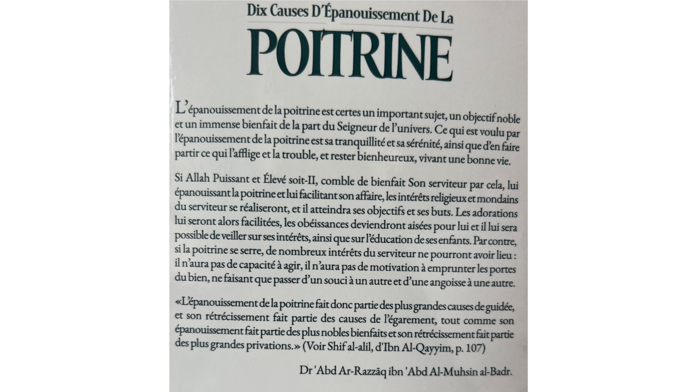 pointrine 1