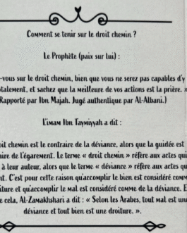 LE DROIT CHEMIN – Ibn Taymiyyah