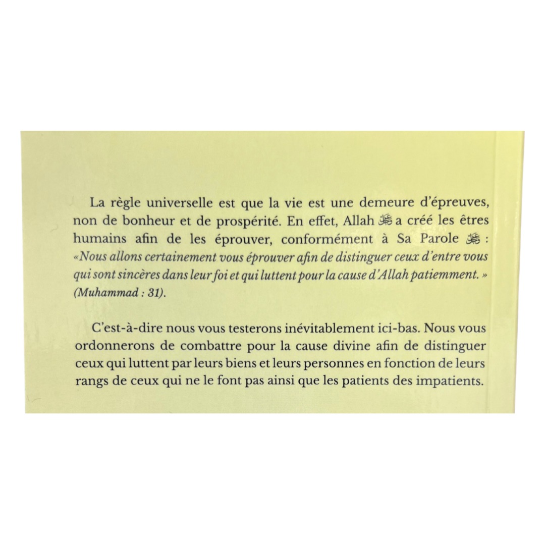 Extrait du livre L'épreuve du bien et du mal de Cheikh Raslan